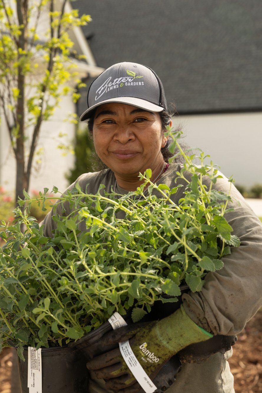 female-landscaper-holding-potted-plants-little-rock-standard