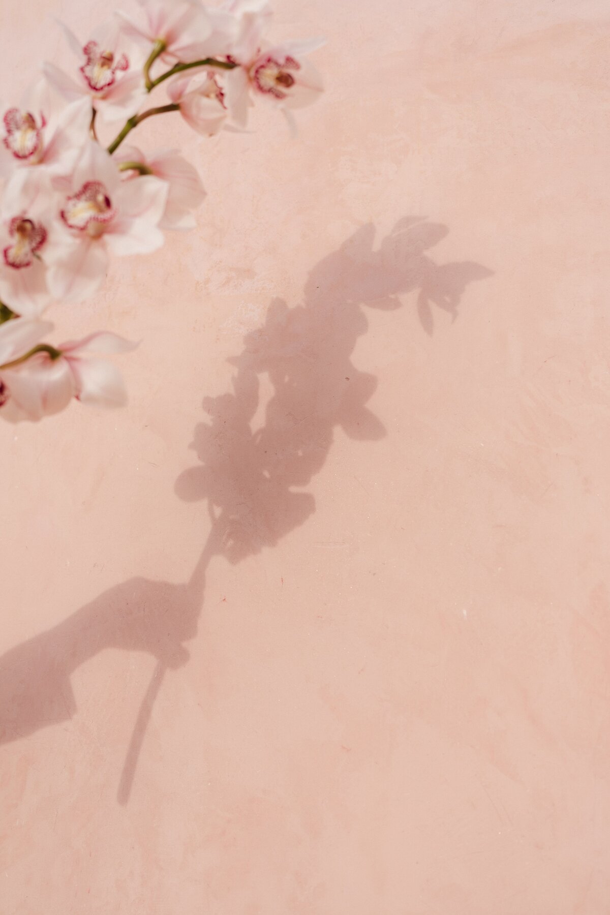 Mallorca Wedding Photographer 33