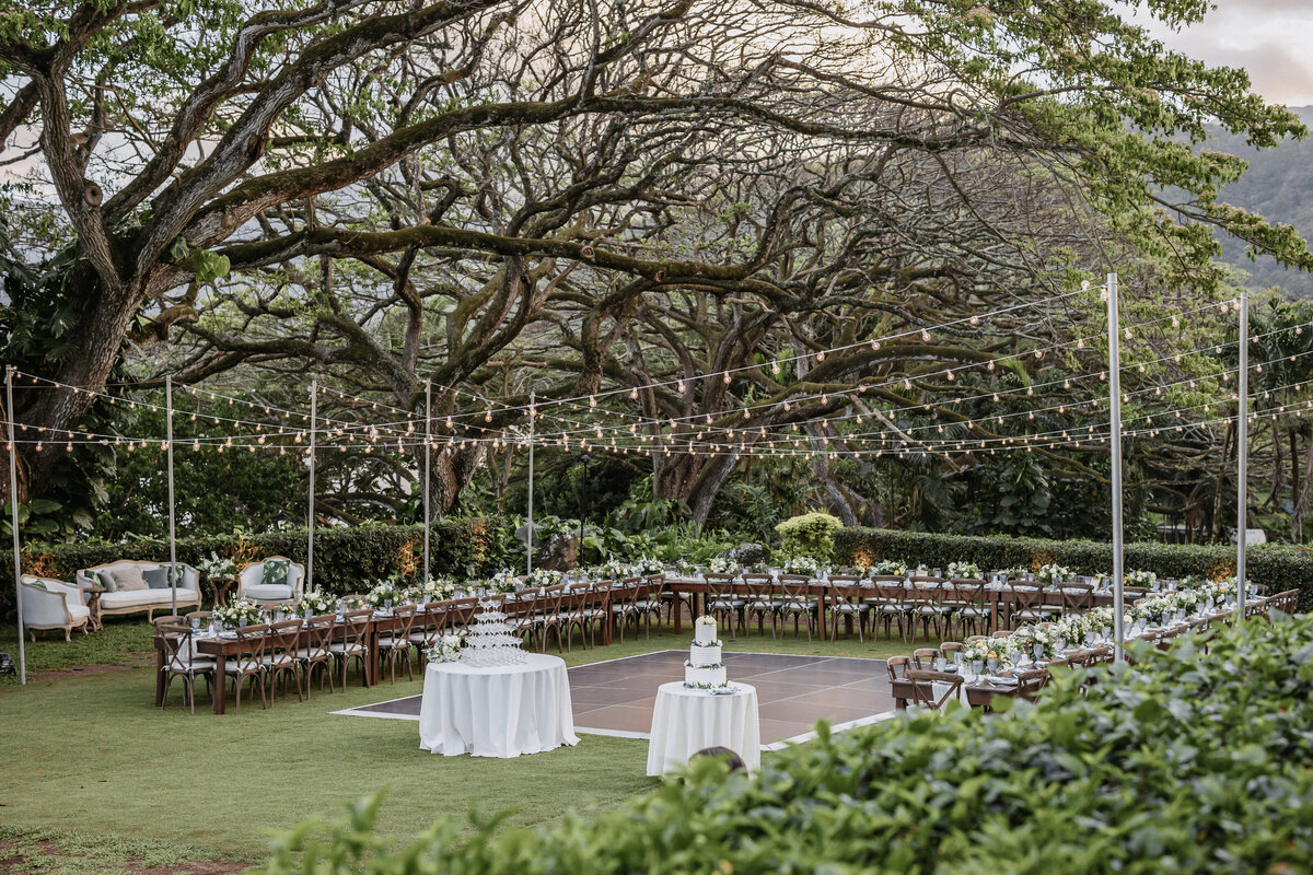 Wedding reception with overhanging tree and string lights