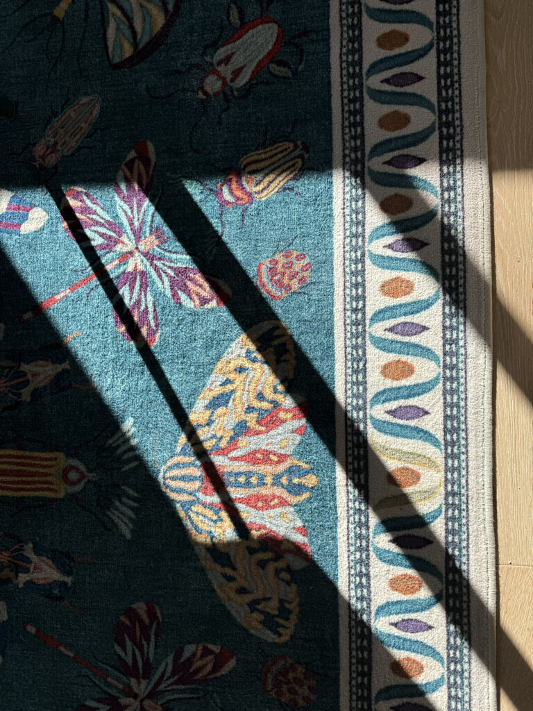 9CF02BDC-DE3F-47F1-8426-EEA73F85EAE5_1_105_c