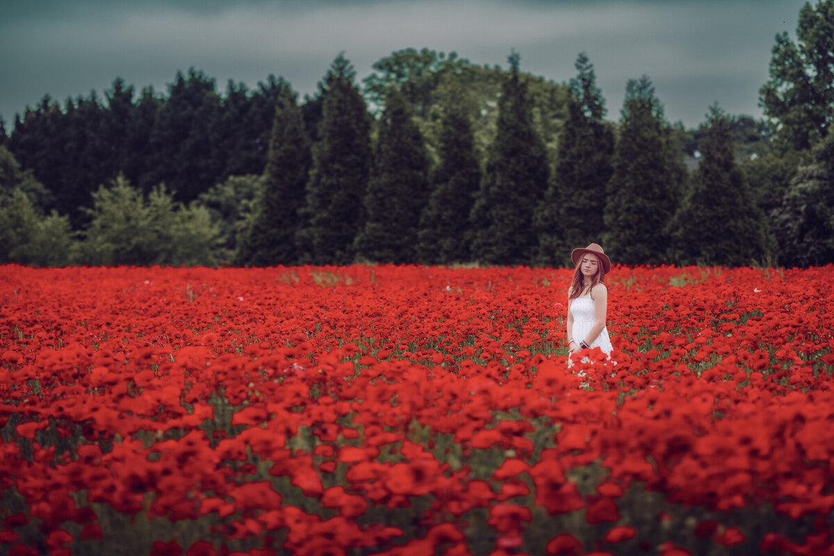 raleigh-wildflower-photographer-2894