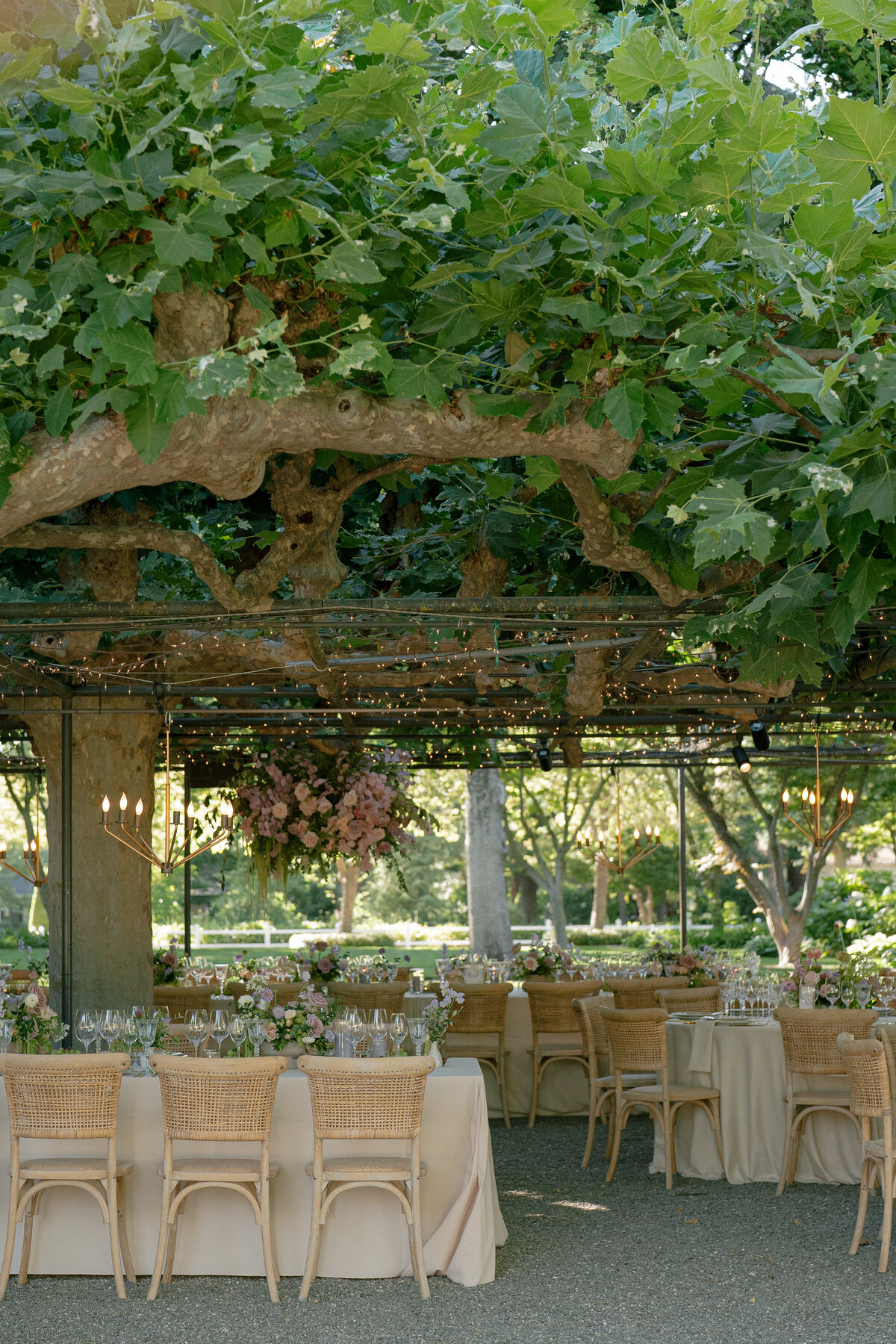 Beaulieu-gardens-wedding-Elizabeth-Warrick-Roque-Events-64