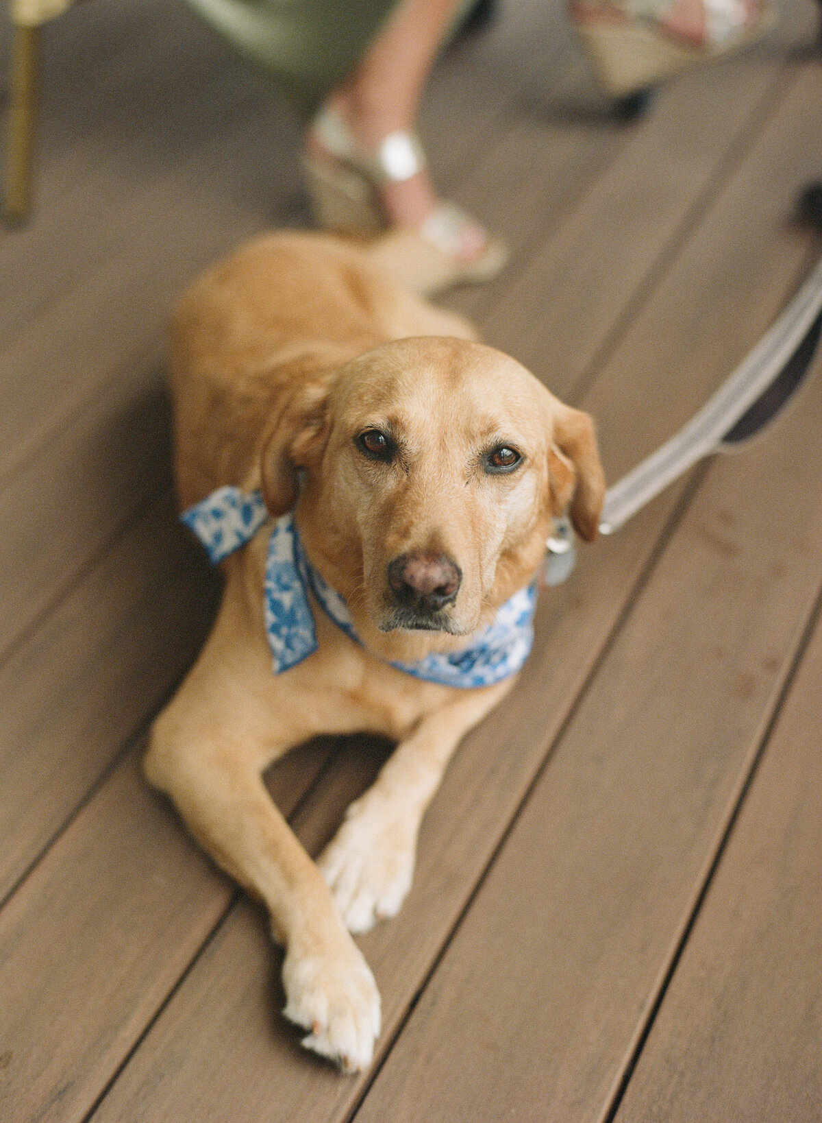 Kent-Island-Resort-Wedding-Sophie-and-Joe-by-Kiyah-C-Photography-316