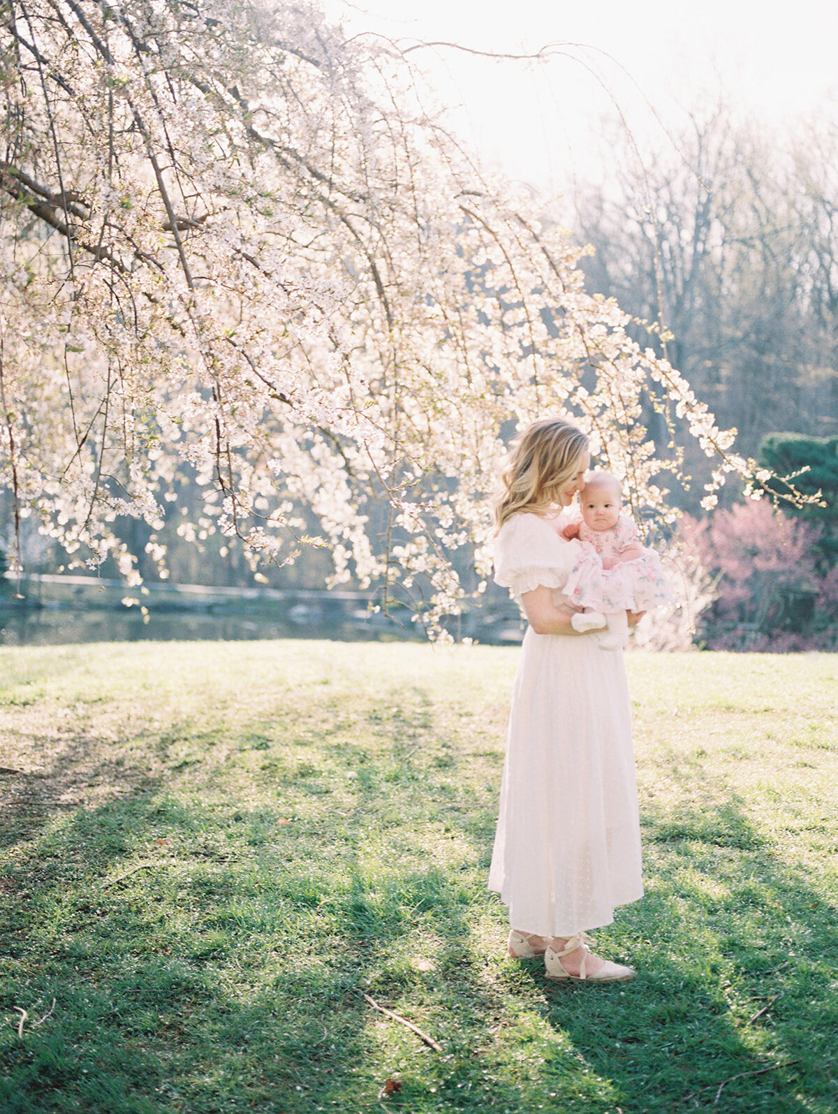 Blonde mother stands holding her baby girl in front of a cherry blossom tree at Brookside Gardens.