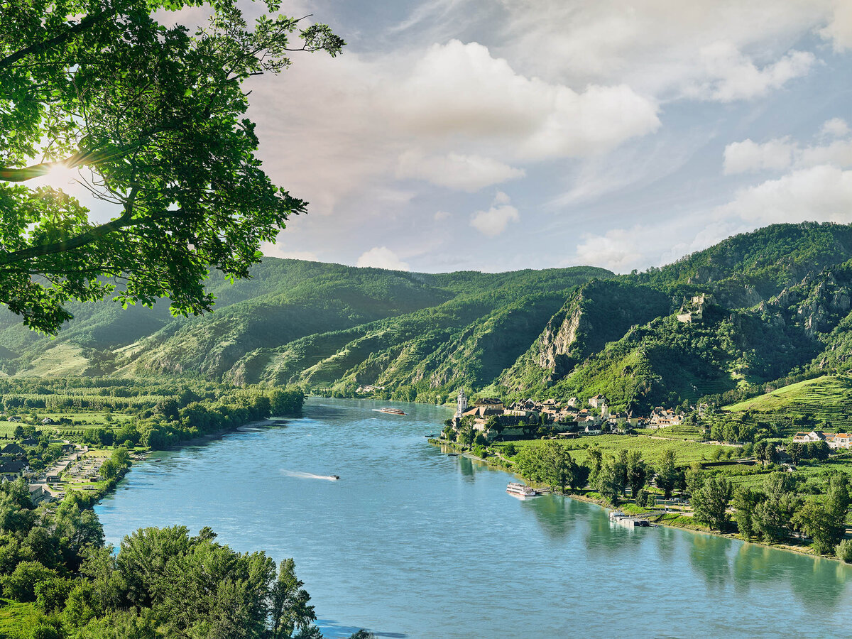 Blick auf die Donau und Dürnstein inmitten saftig grüner Weinberge – sommerliche Landschaftsaufnahme für Tourismus und Imagefotografie