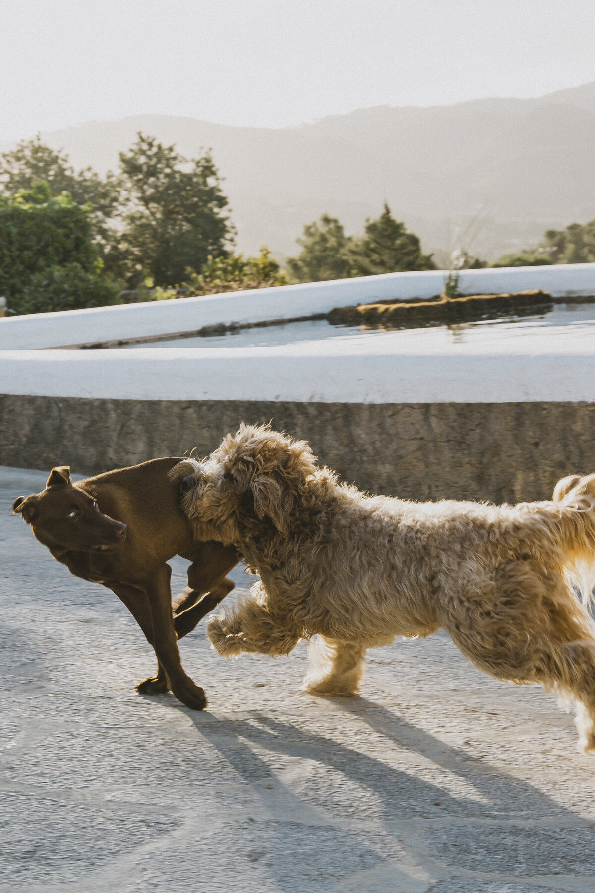 bo-eppink-photography-farm-labritja-botanica-campaign-ibiza-spain-lifestyle-3