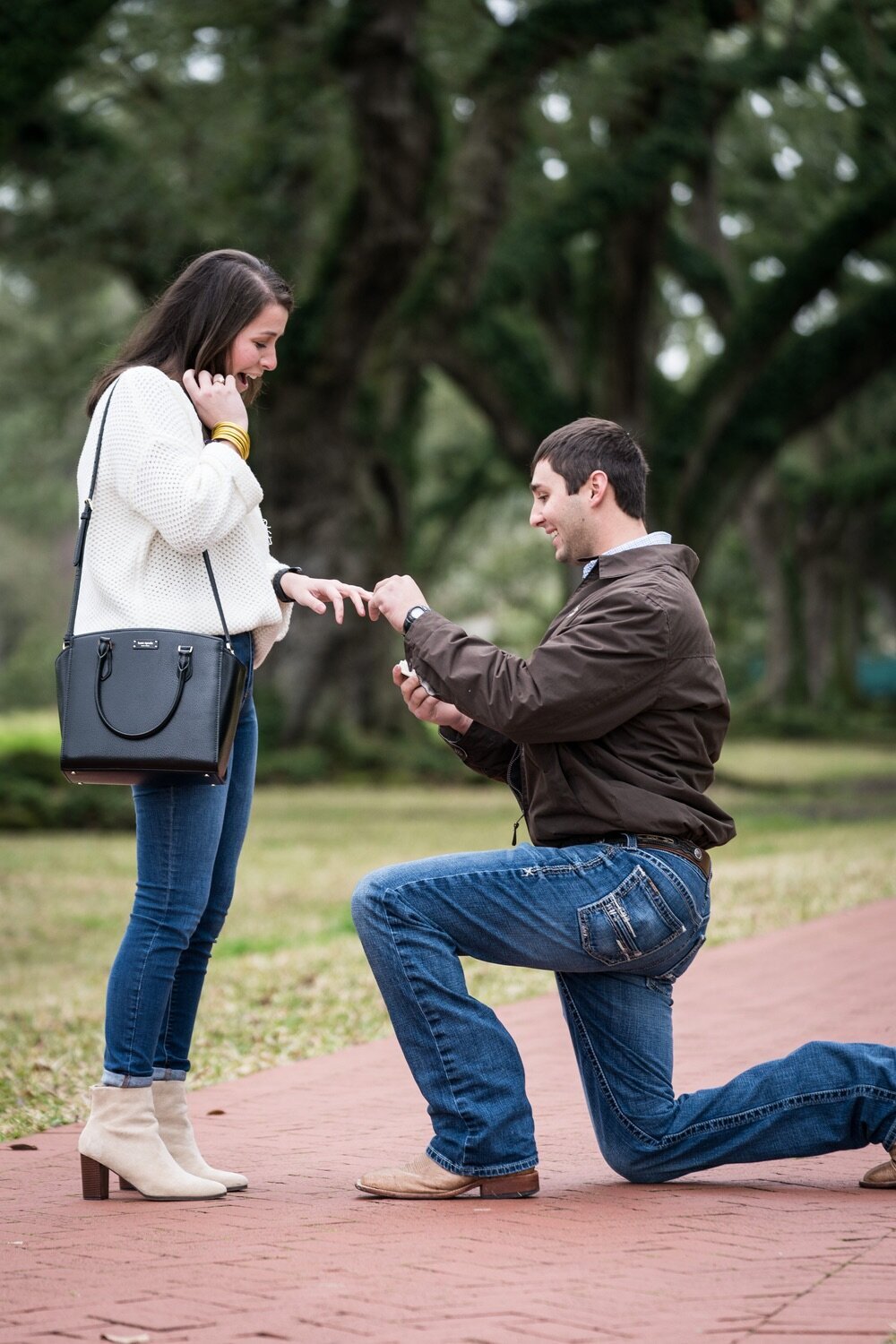 Marriage proposal at Oak Alley Plantation