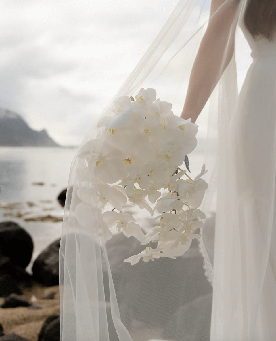 Screenshot 2025-11-25 at 12.16.15 PM