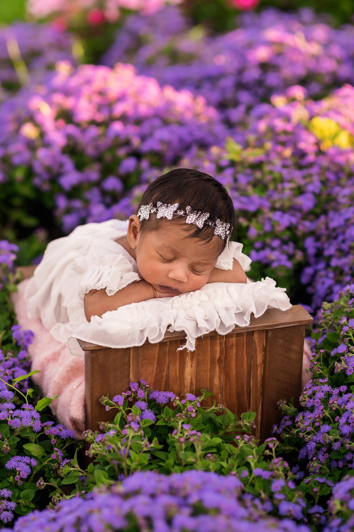 Infant girl asleep in outdoor session on a little bed surrounded by purple flowers at Sam Lawrence Park photo session.