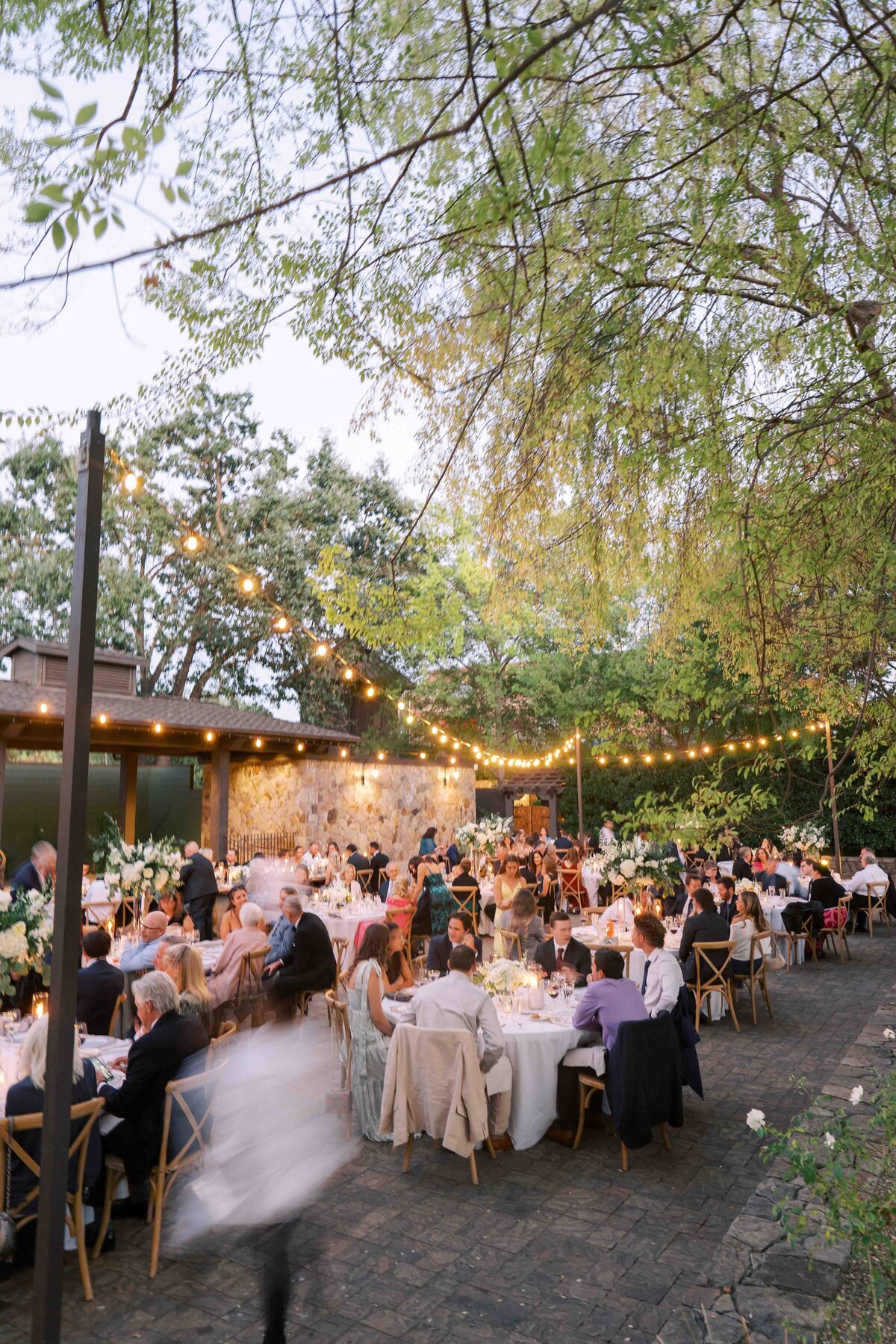 WILLOW-BEN-WEDDING-NAPA-PHOTOGRAPHER-109
