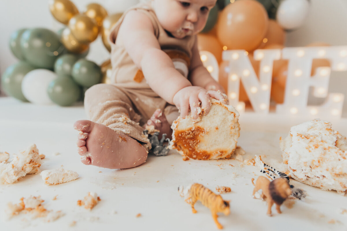 cake-smash-photographer-harrisburg_3706