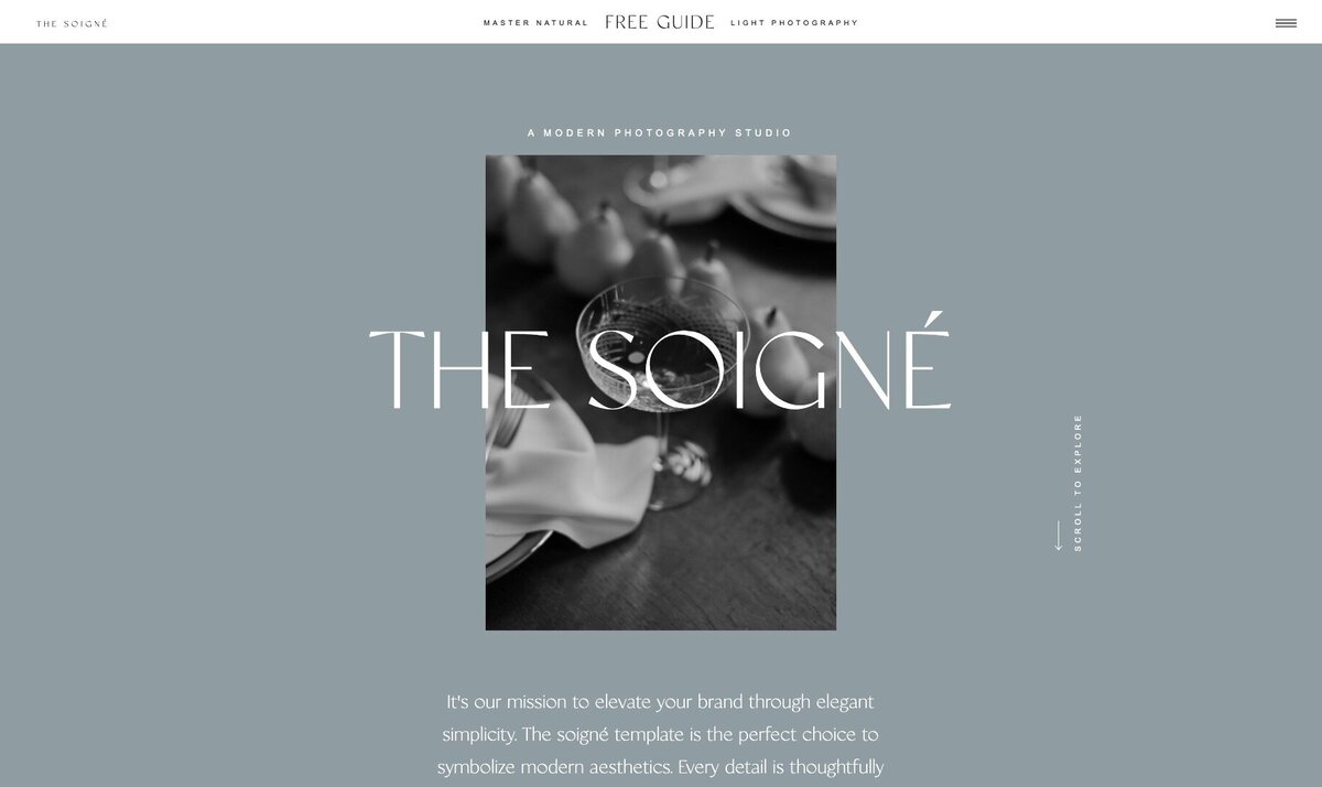 soigne-showit-website-template-4