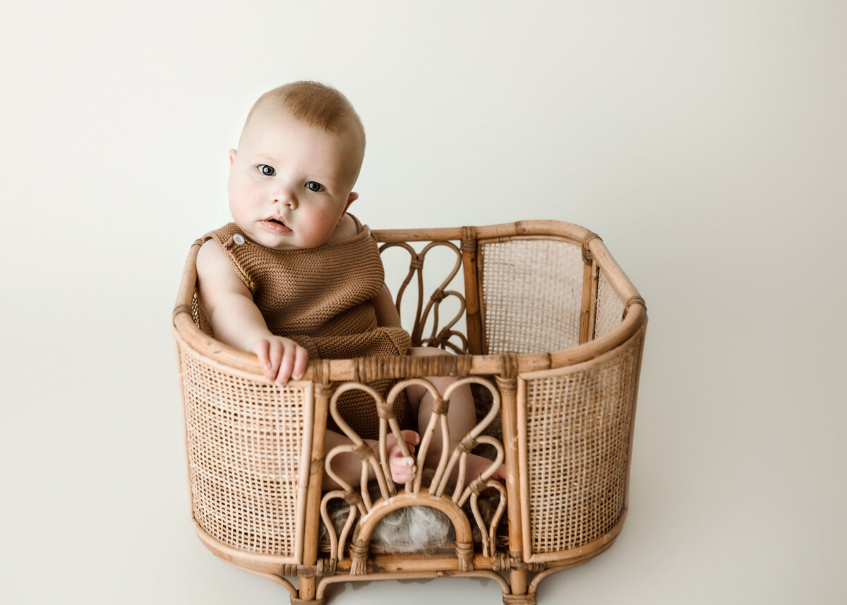 SitterPhotoshootDenverColorado