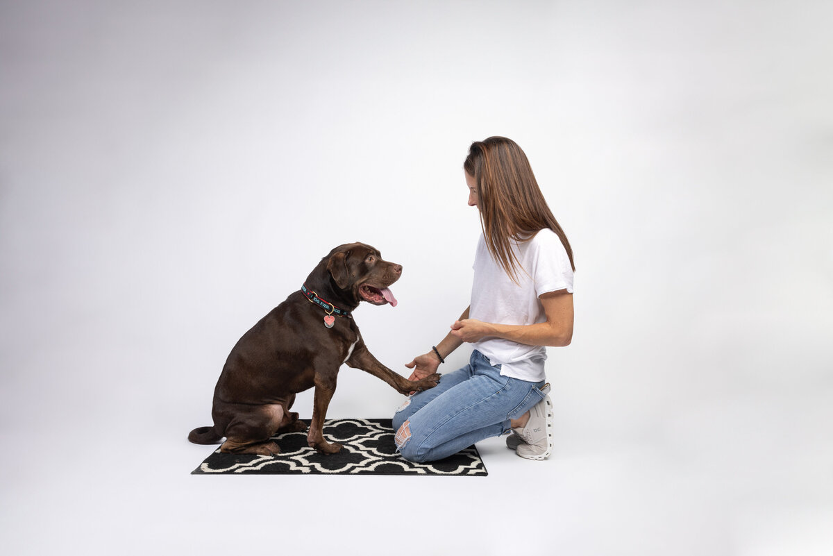 Pet photos studio Cleveland Ohio--48