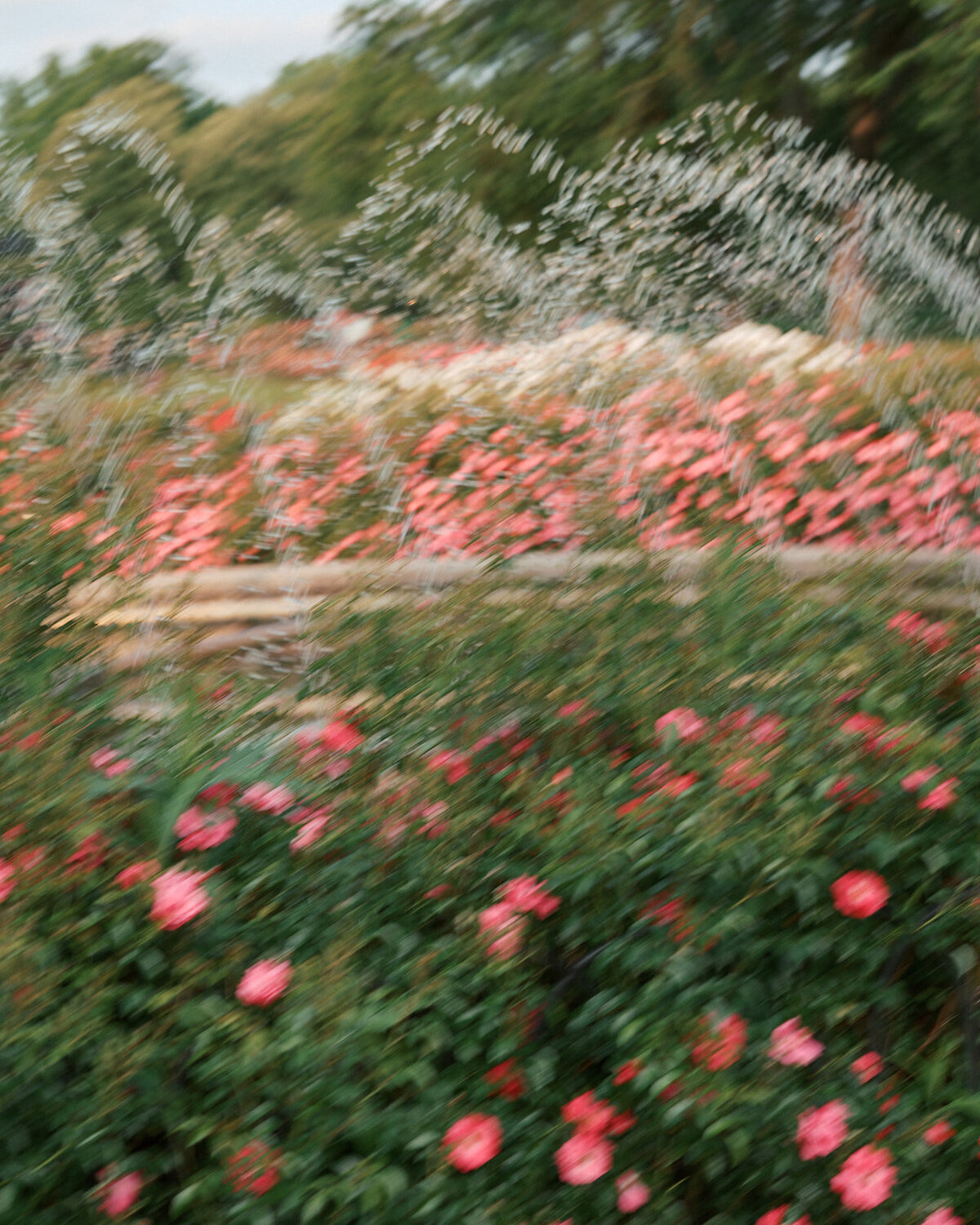Philadelphia-wedding-photographer-oliviacasey00102
