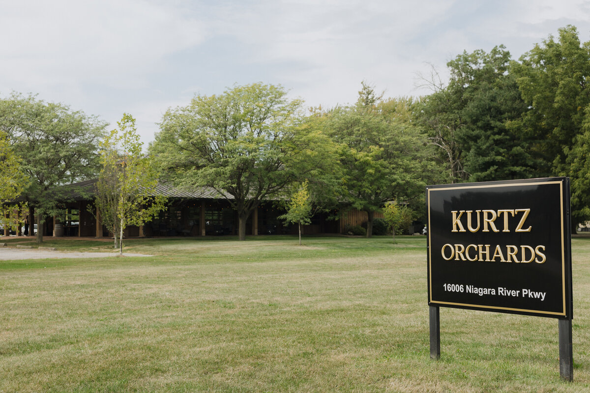 Wedding Photographer in Niagara