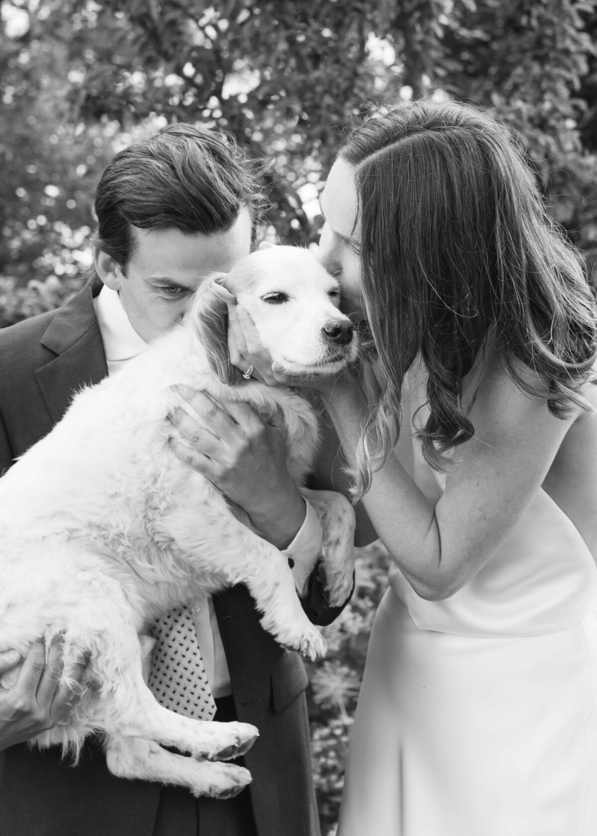 chloe-winstanley-weddings-halfpenny-bride-dog
