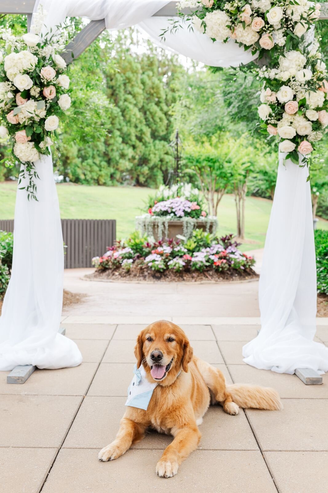 Birmingham wedding photographer - 124