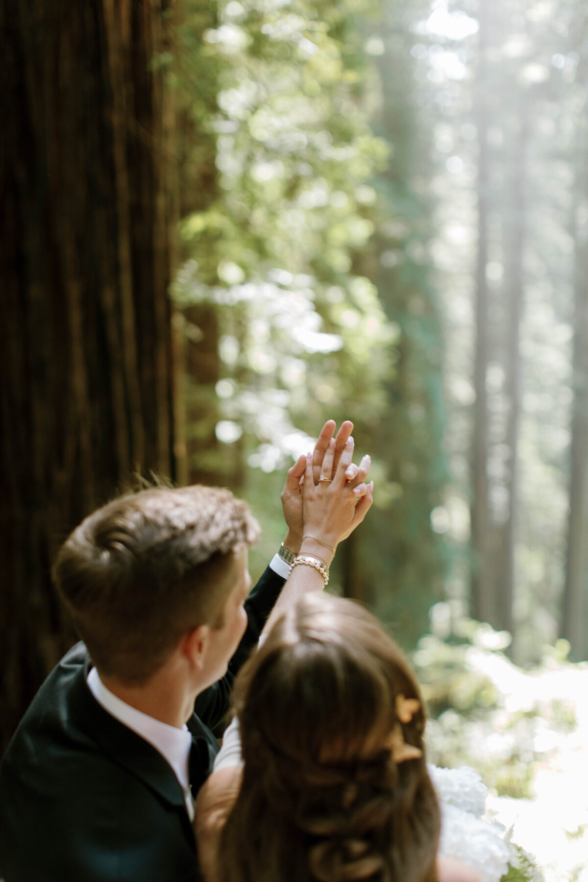 redwoods elopement photographer