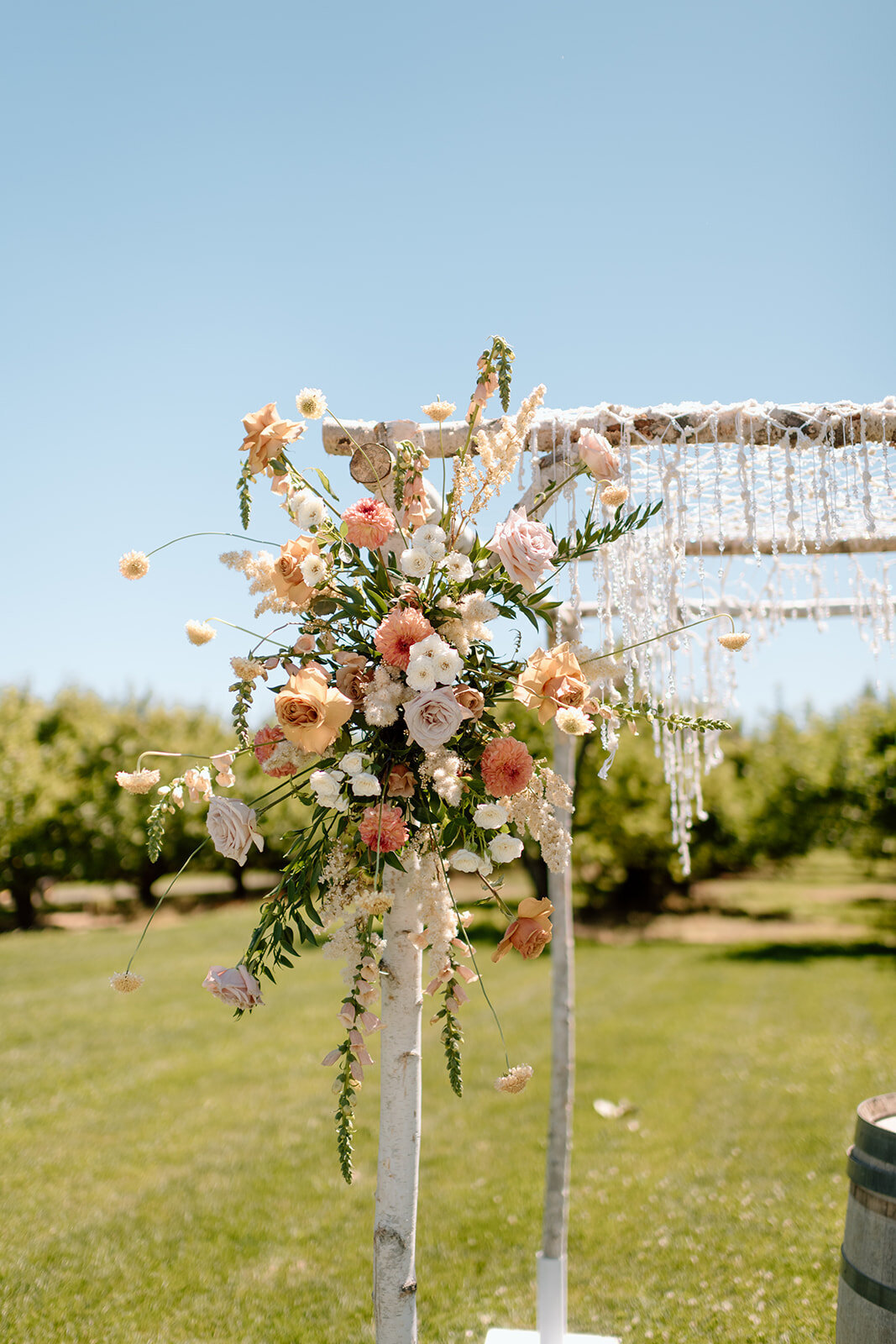 Beautiful Flowers