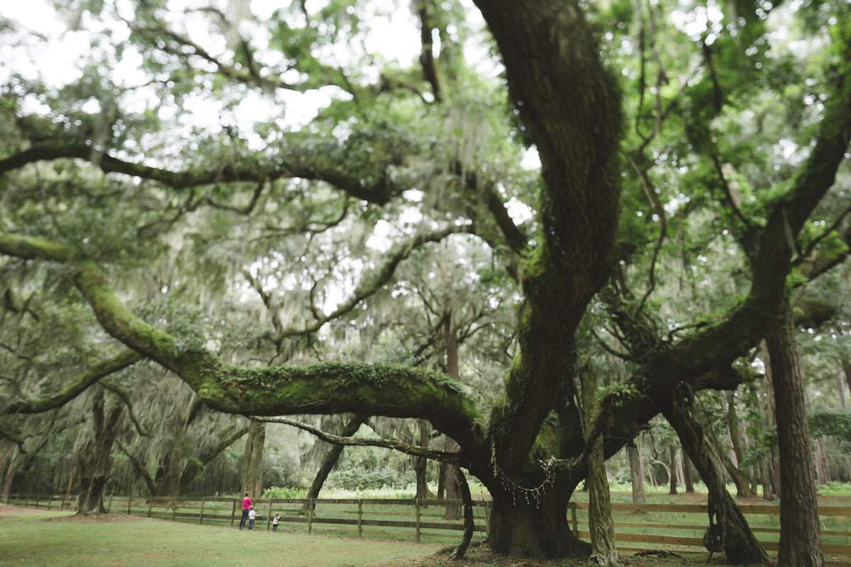 Savannah Georgia - DiBlasio Photo-0138