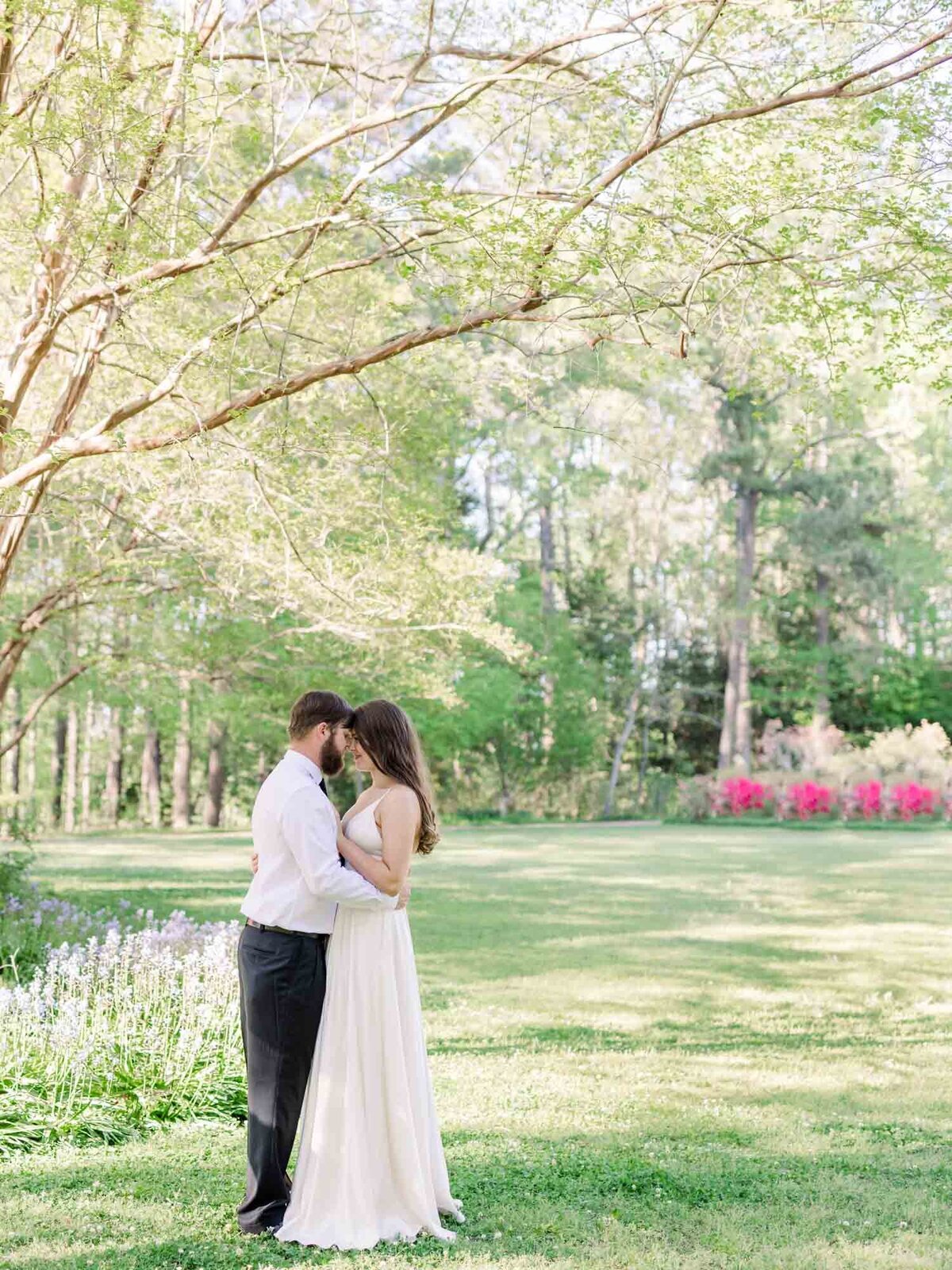 Gorgeous engagement portrait of a couple under a tree in a field of grass.
