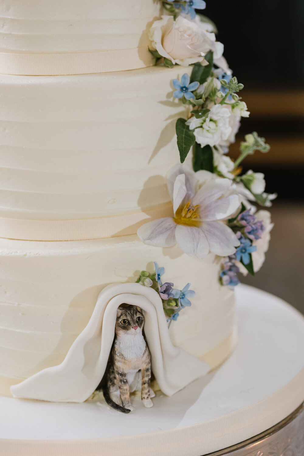 urban-row-photo-belvedere-wedding-photographer-49