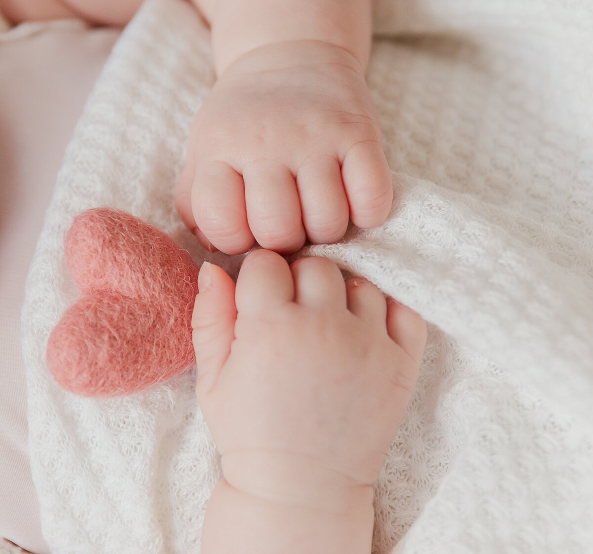 Tampa-newborn-baby-pink-photographer (3)