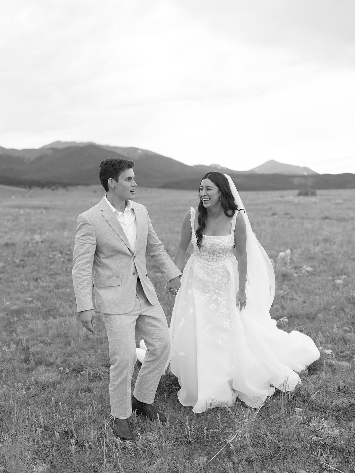 sdwed-06790