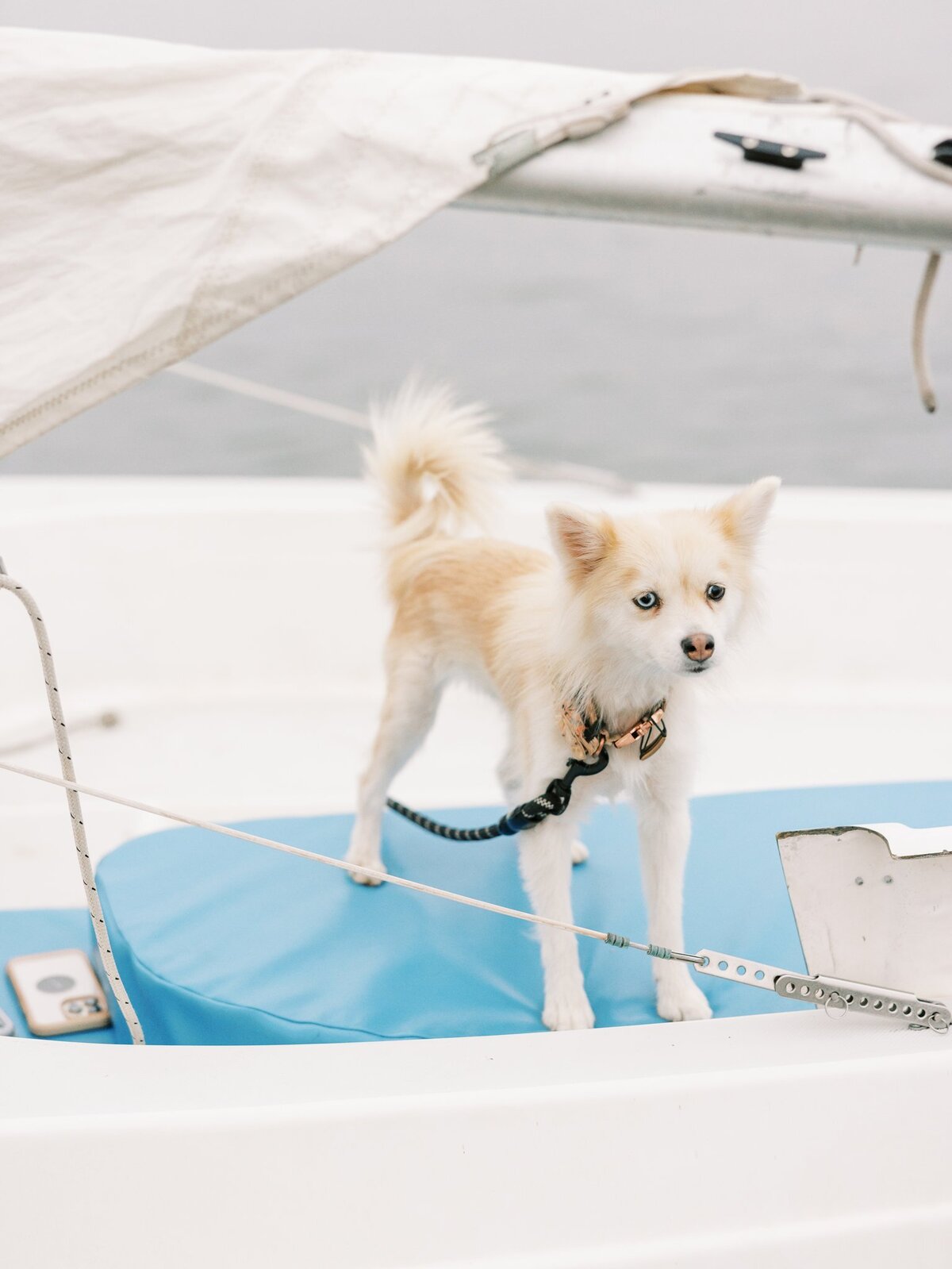 Sailboat-Family-Session_1016