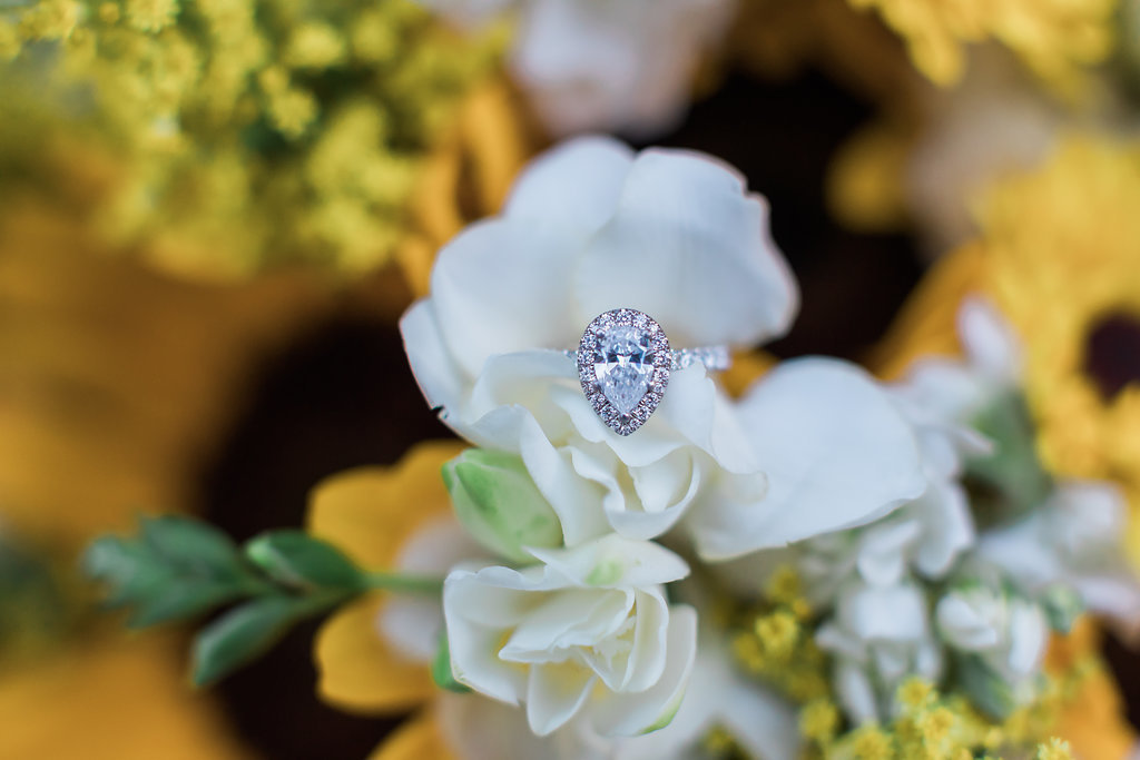 Savannah elopement