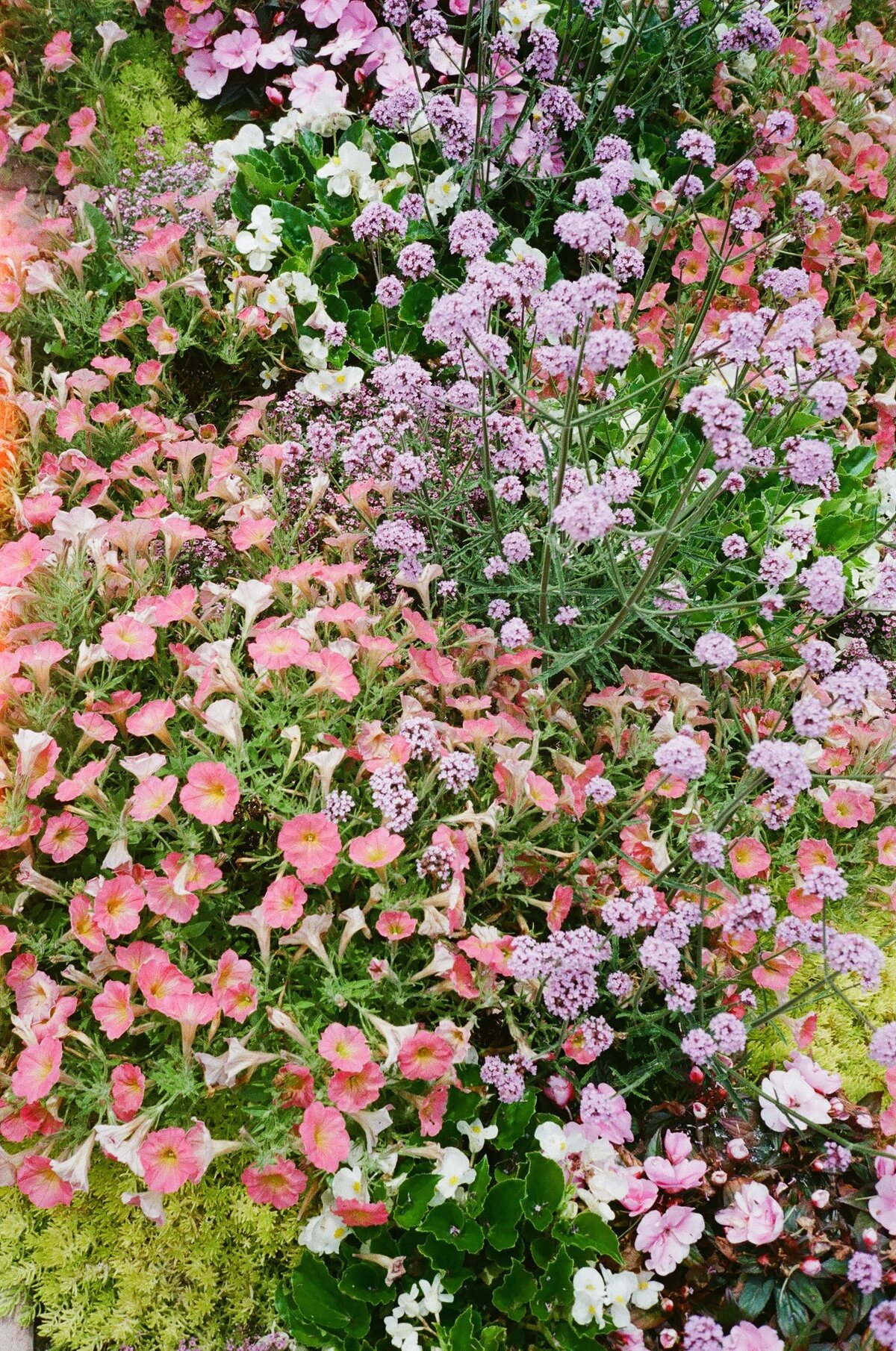 Mackinac-Island-Wedding-3