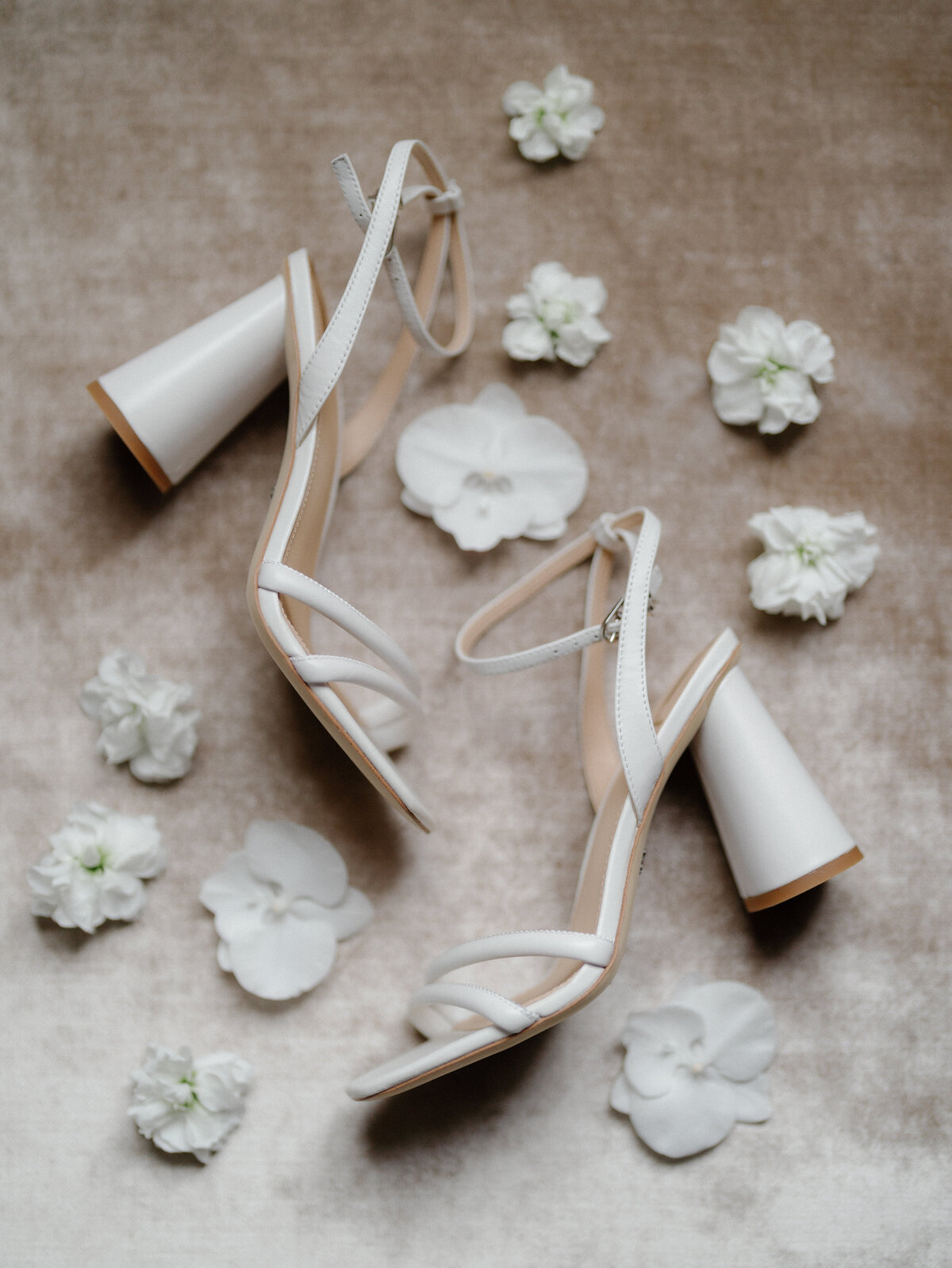 34_Kate Campbell Floral Larz Anderson House Modern Lux Wedding by Hana Gonzalez photo