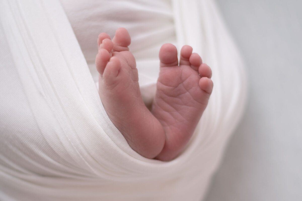 newborn toes wrapped in white blanket at st. louis newborn photoshoot