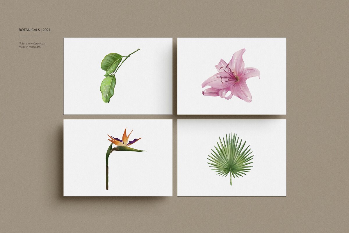 Botanicals