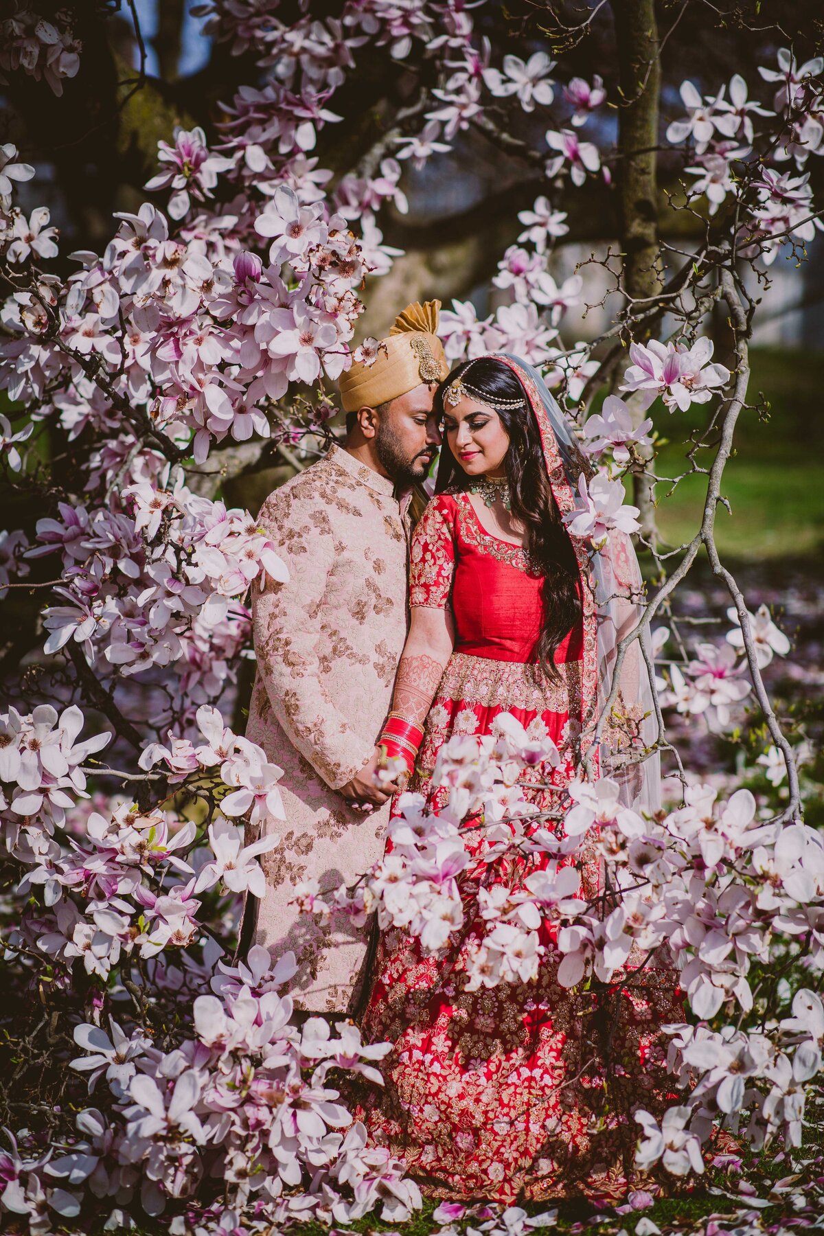 Indian bride and groom sharing a moment inside a magnolia tree in new york