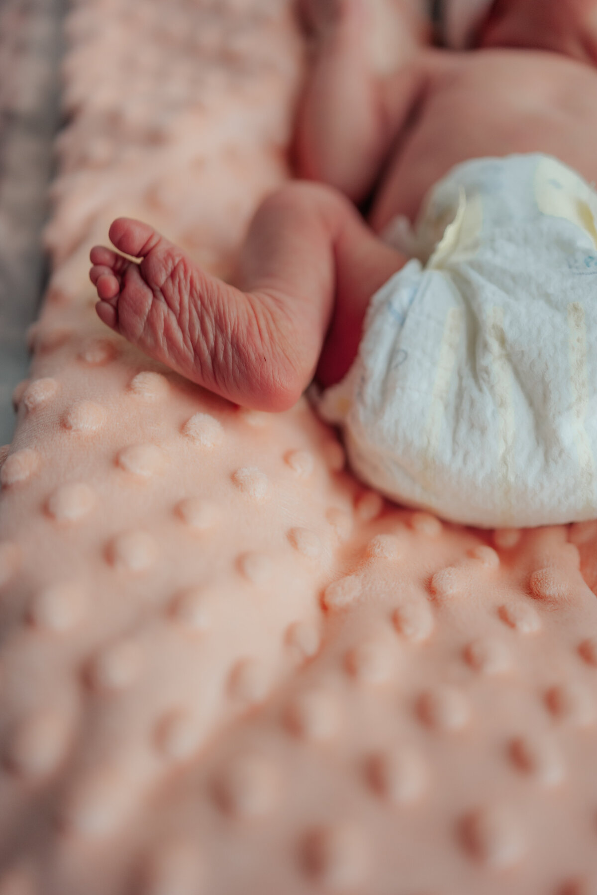CindyG.Photography-1376