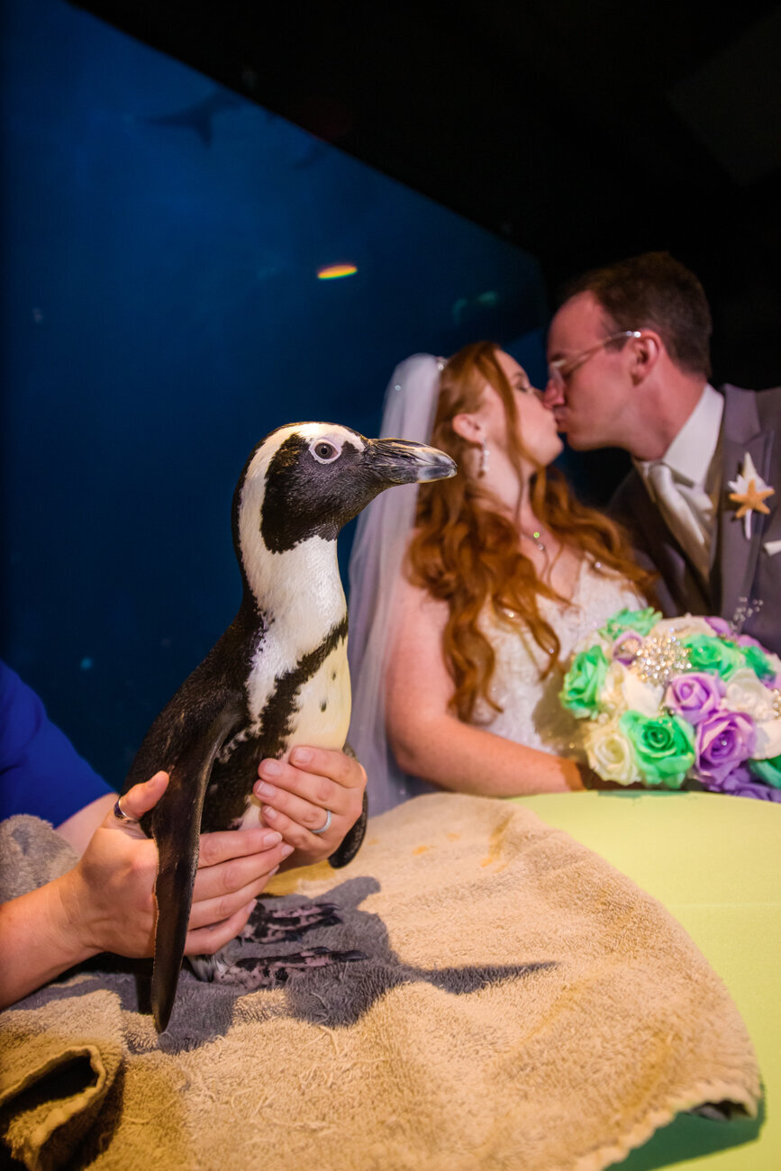 FoxBrazen_DillardWedding_3367aSocial