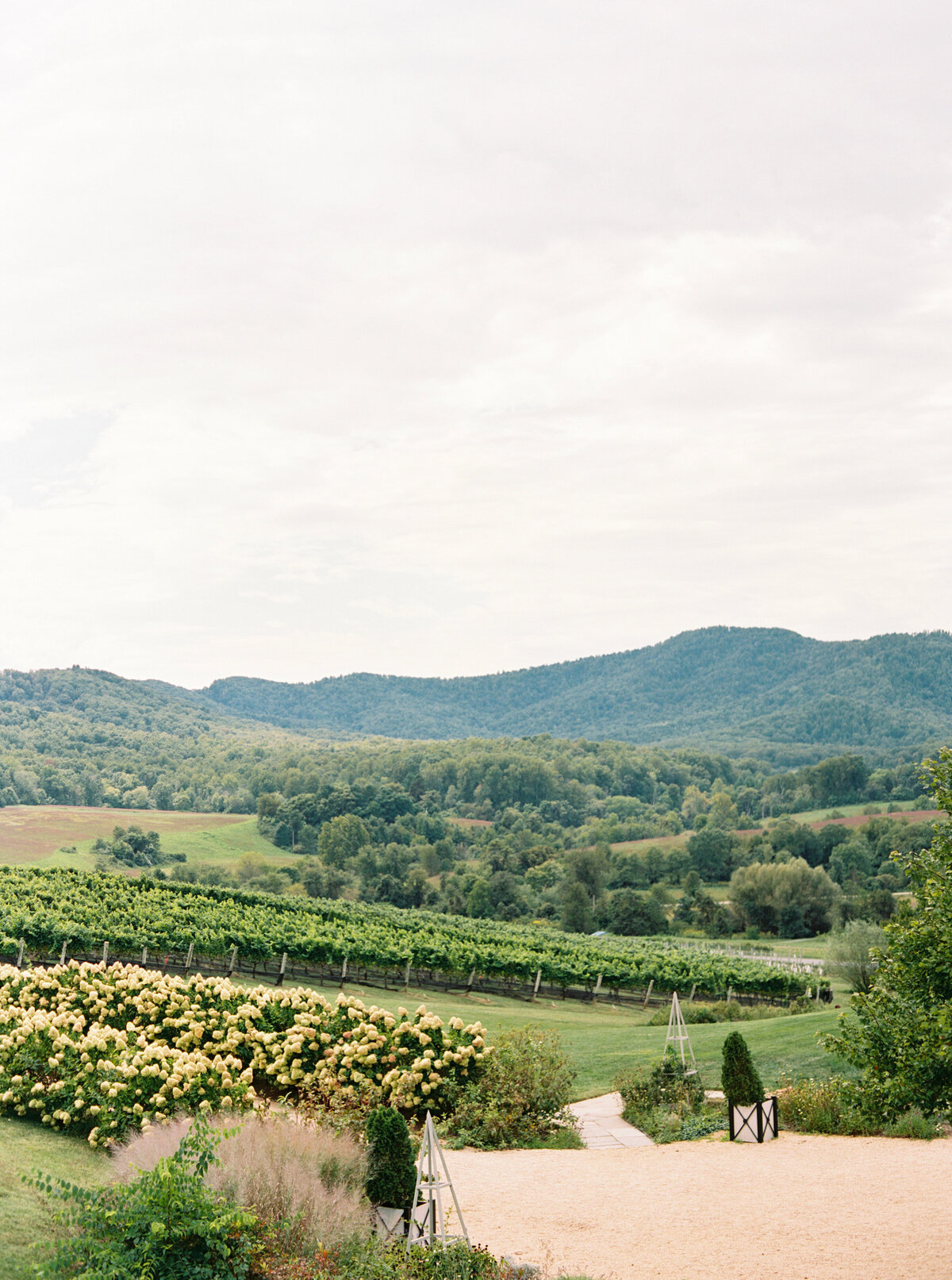 pippin-hill-wedding-katieanderic-danielle-james-photography-5