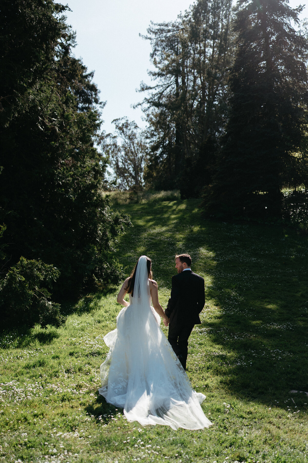 AmandaandConor_Elopement_SanFranciscoBotanicalGarden_RedwoodGrove-83