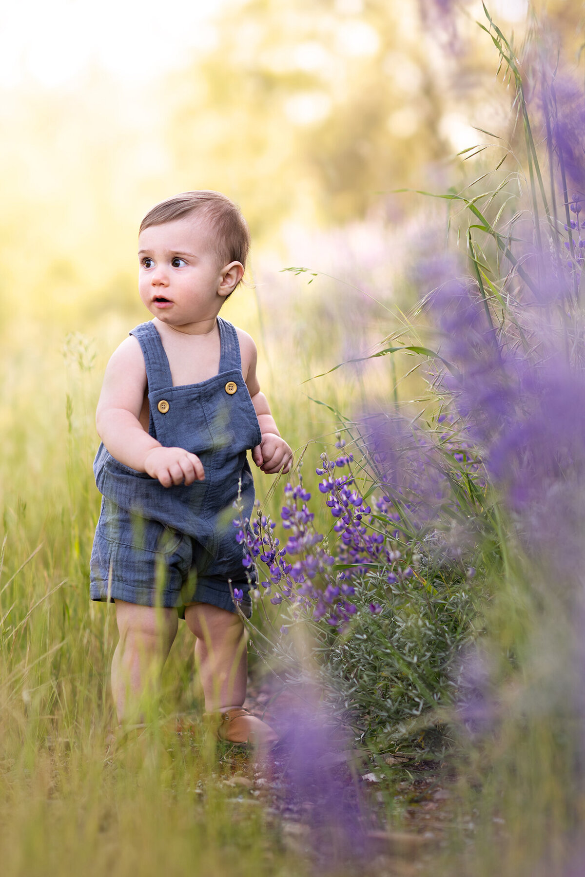 CHILDREN_BIRD_A(6)