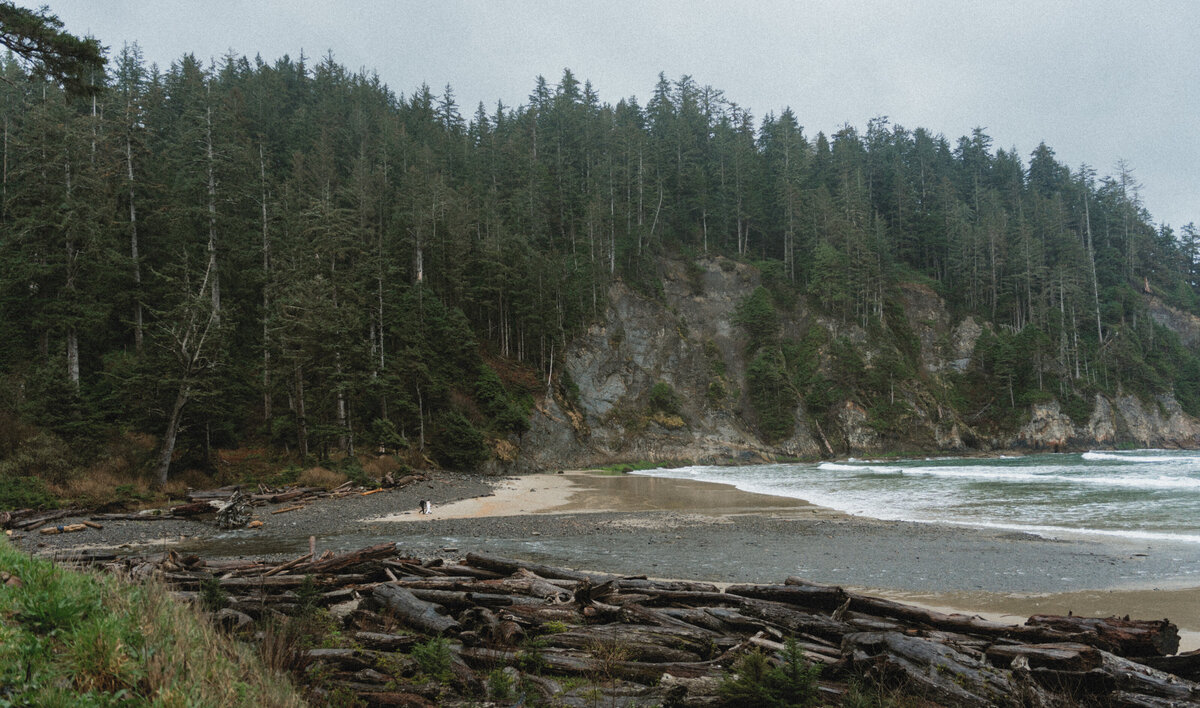 elopement oregon short sands beach - lizarrietaphotography-58