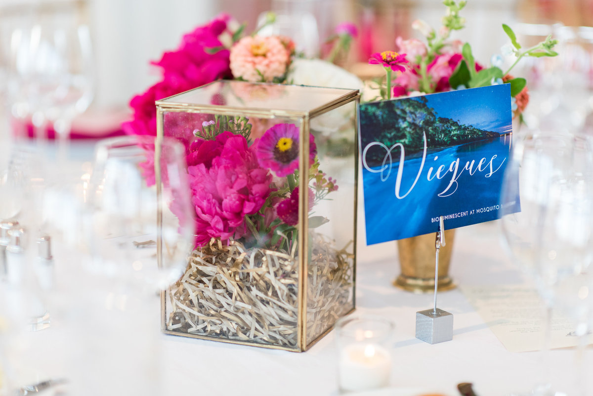 loiselle-wedding-146