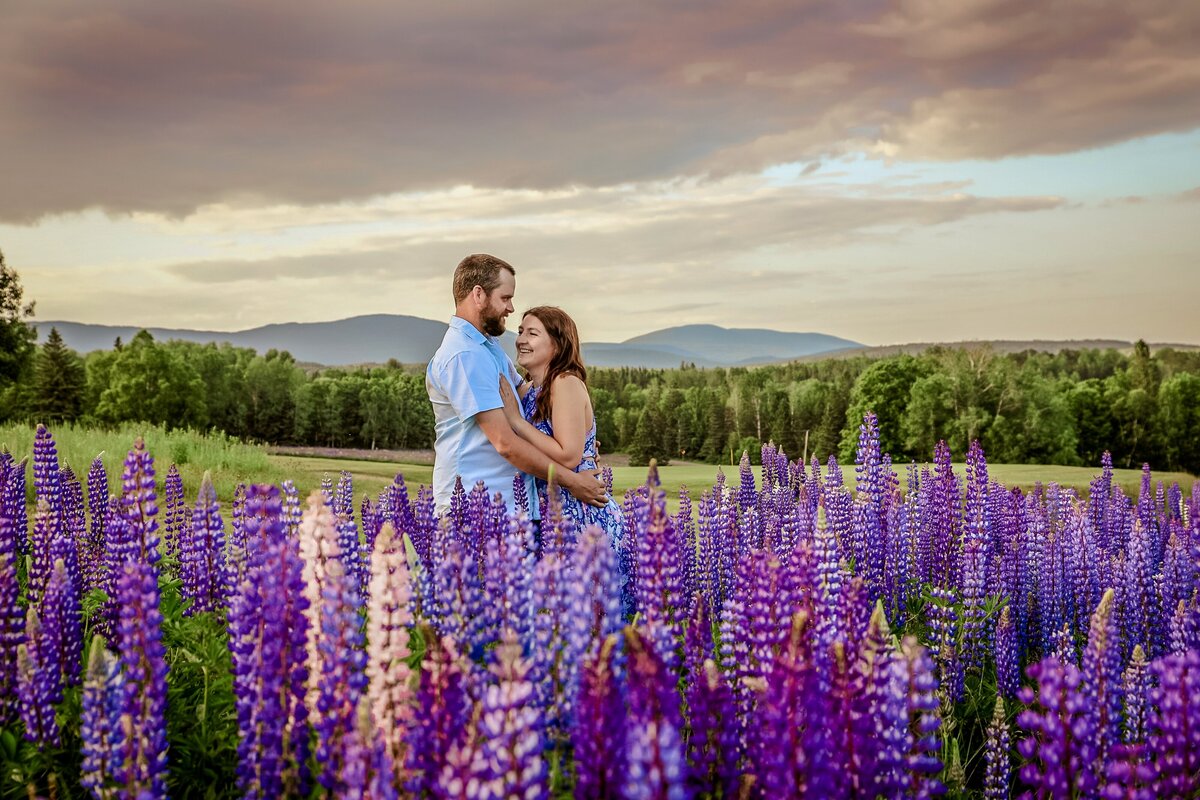 Field of Couple in a Lupine Flower Field | Taken By Maine Photographer