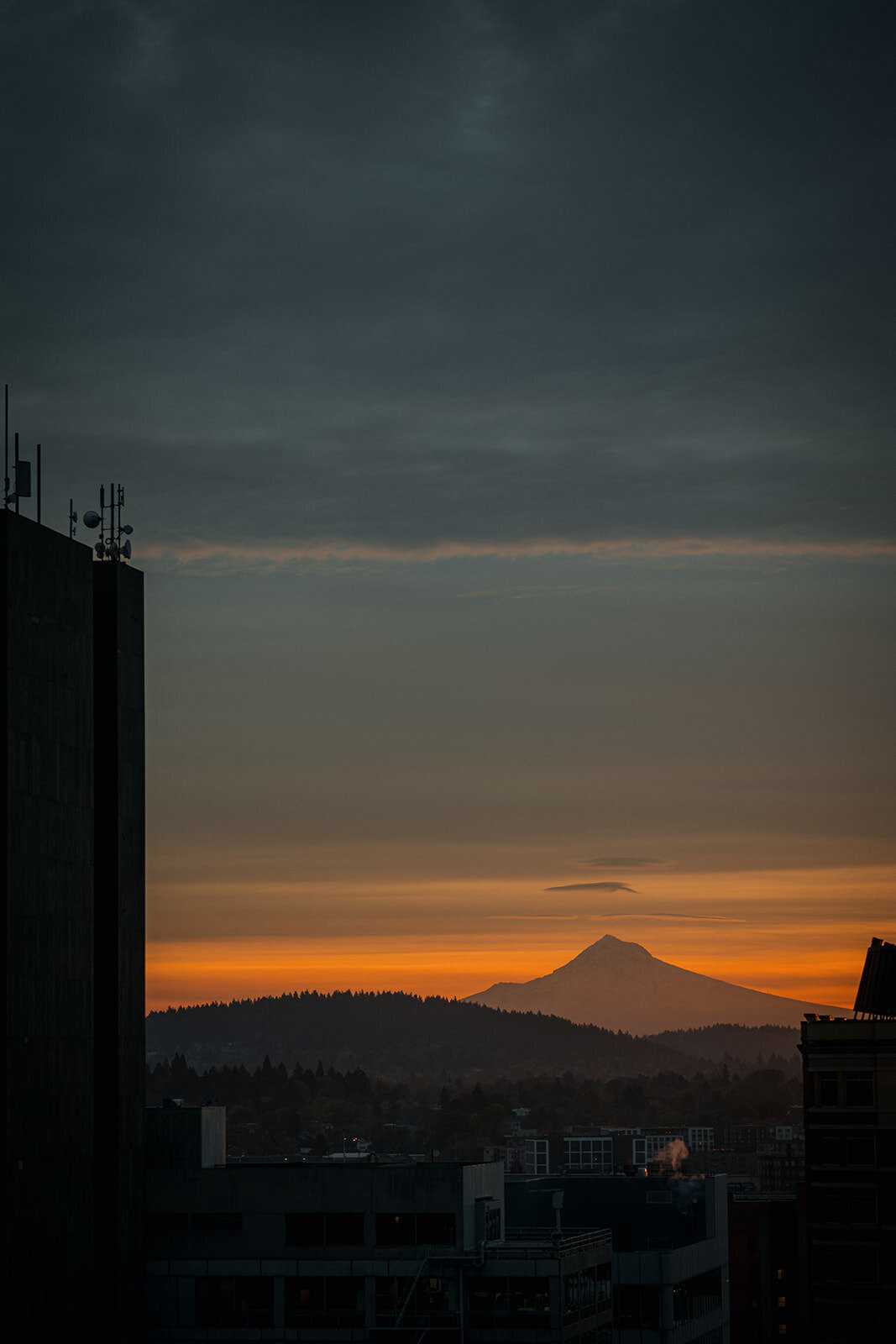 Lea-and-Cole-Portland-Oregon-Wedding-2