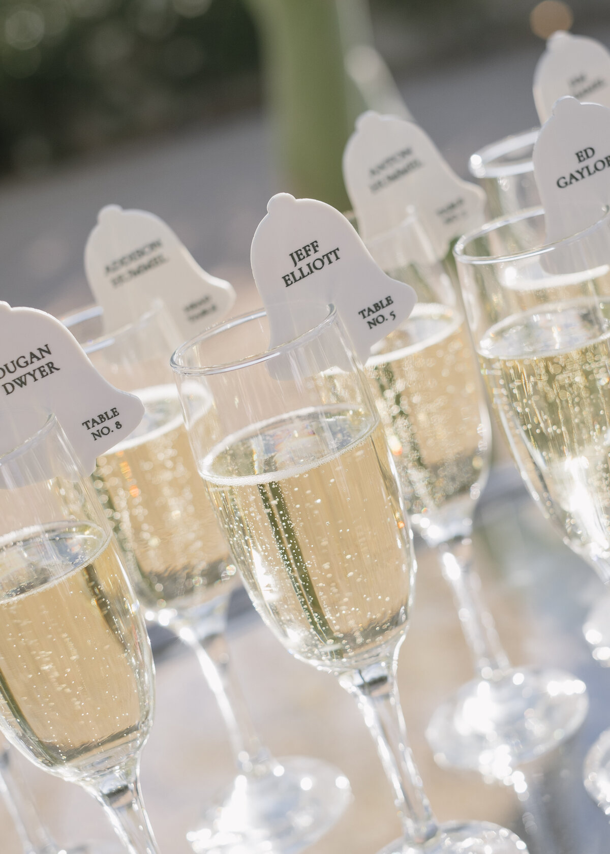 Arizona-Andaz-Resort-Scottsdale-Wedding-Photos-Annette-Ambrose-Photography-1027