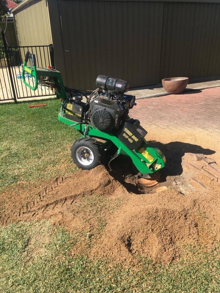 Evergreen Tree Services SA-Stump Grinding-009