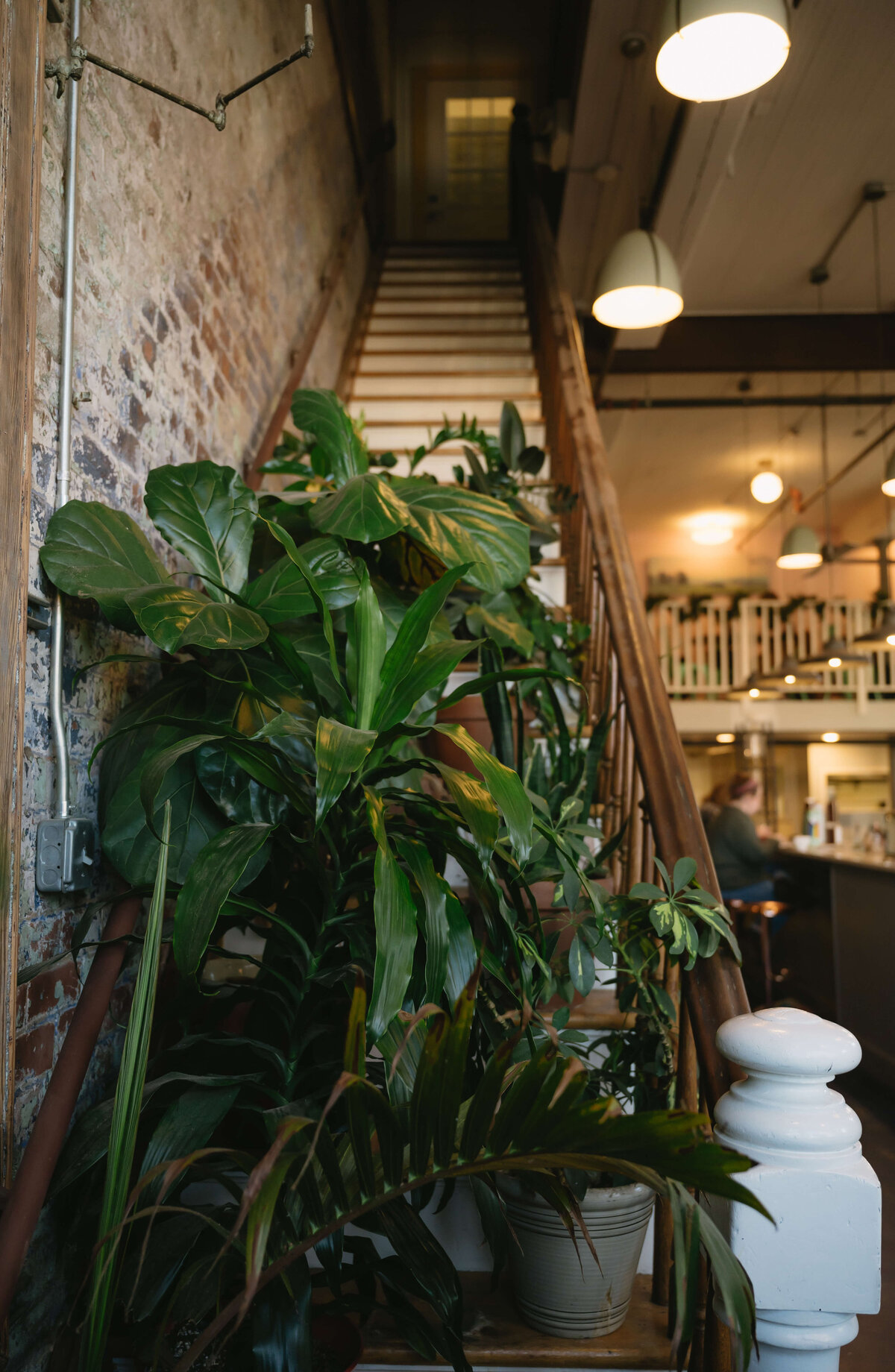 house plants sitting on a  staircase in a coffee shop