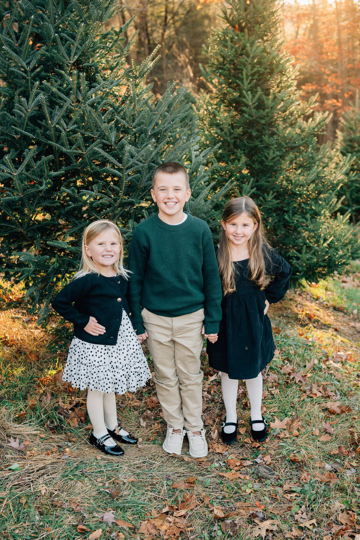 Christmas Tree Farm Mini Sessions | Connecticut Family Photographer-12