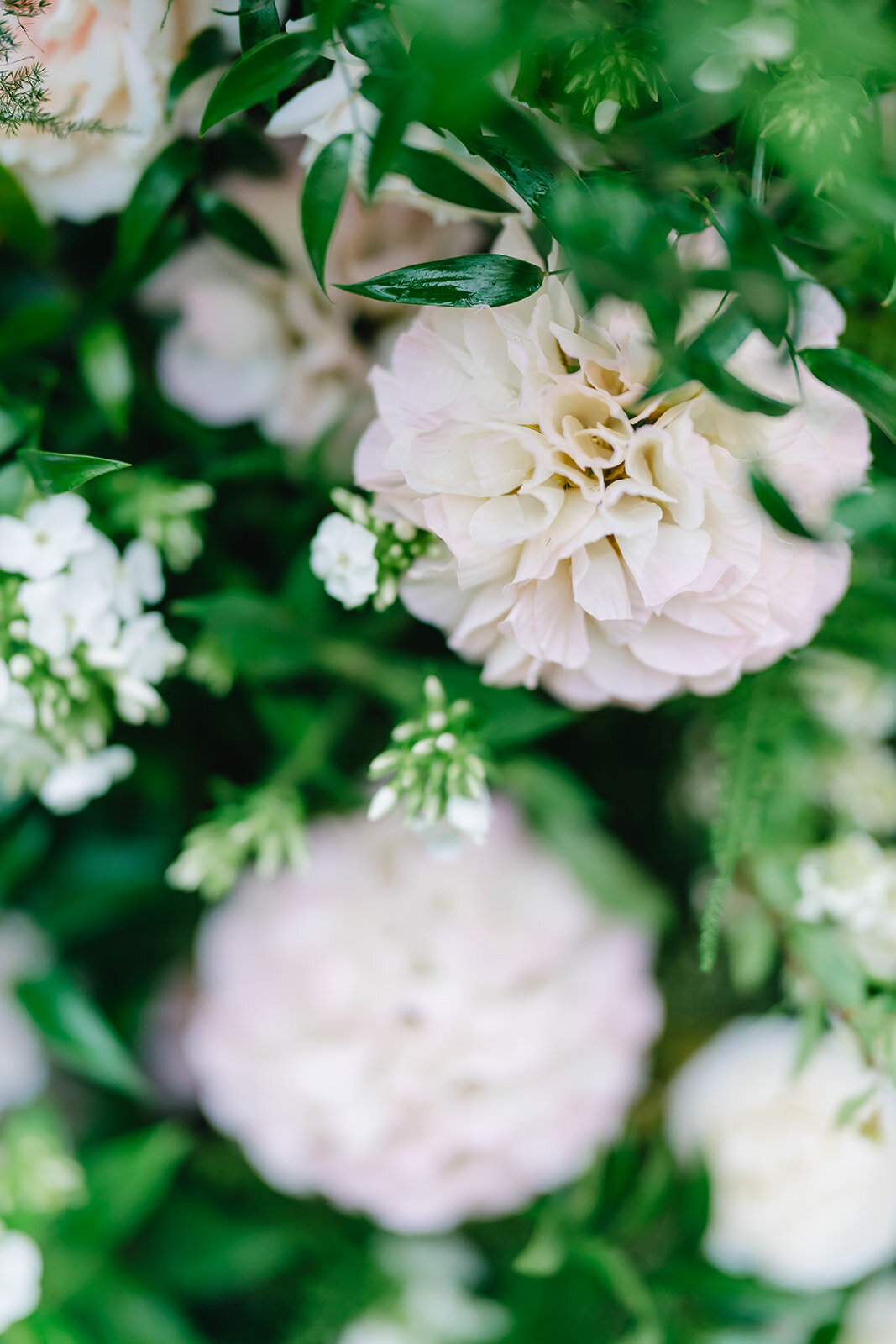 MorganeBallPhotography-StyledShoot-SparklingMoments-VilllaBalbiano-01-VenueDetails-69-5817